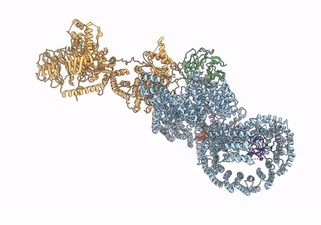 7PEC image