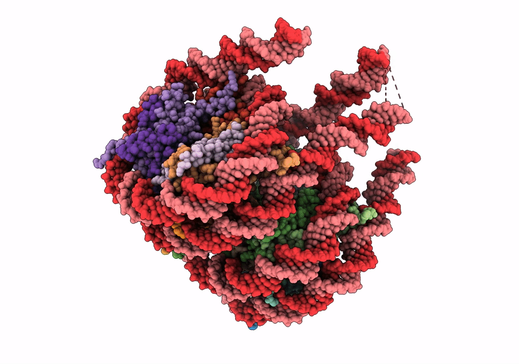 7PEV image