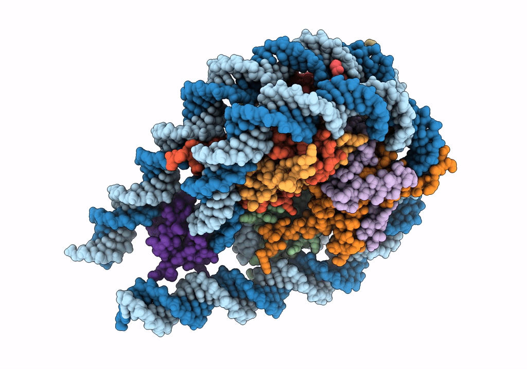 7PEX image