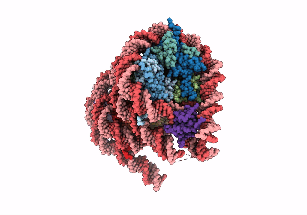 7PF2 image