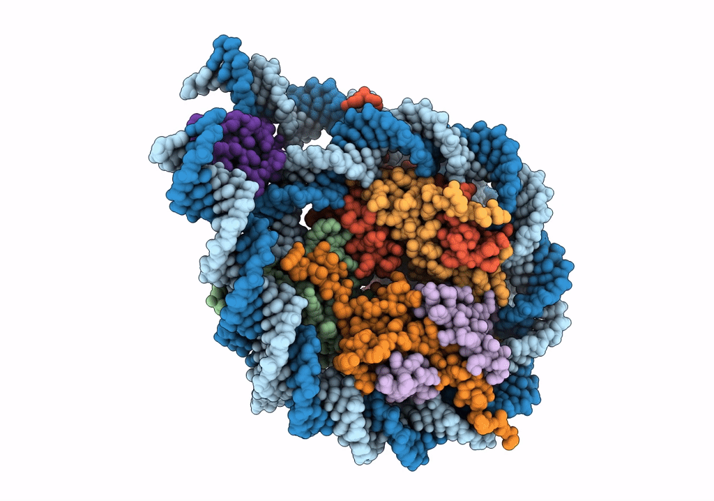 7PF3 image