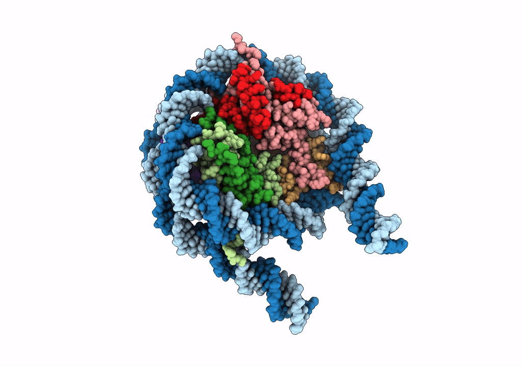 7PF4 image
