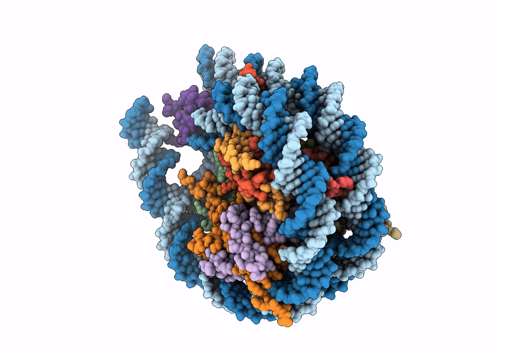 7PF5 image