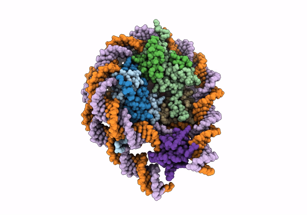 7PF6 image