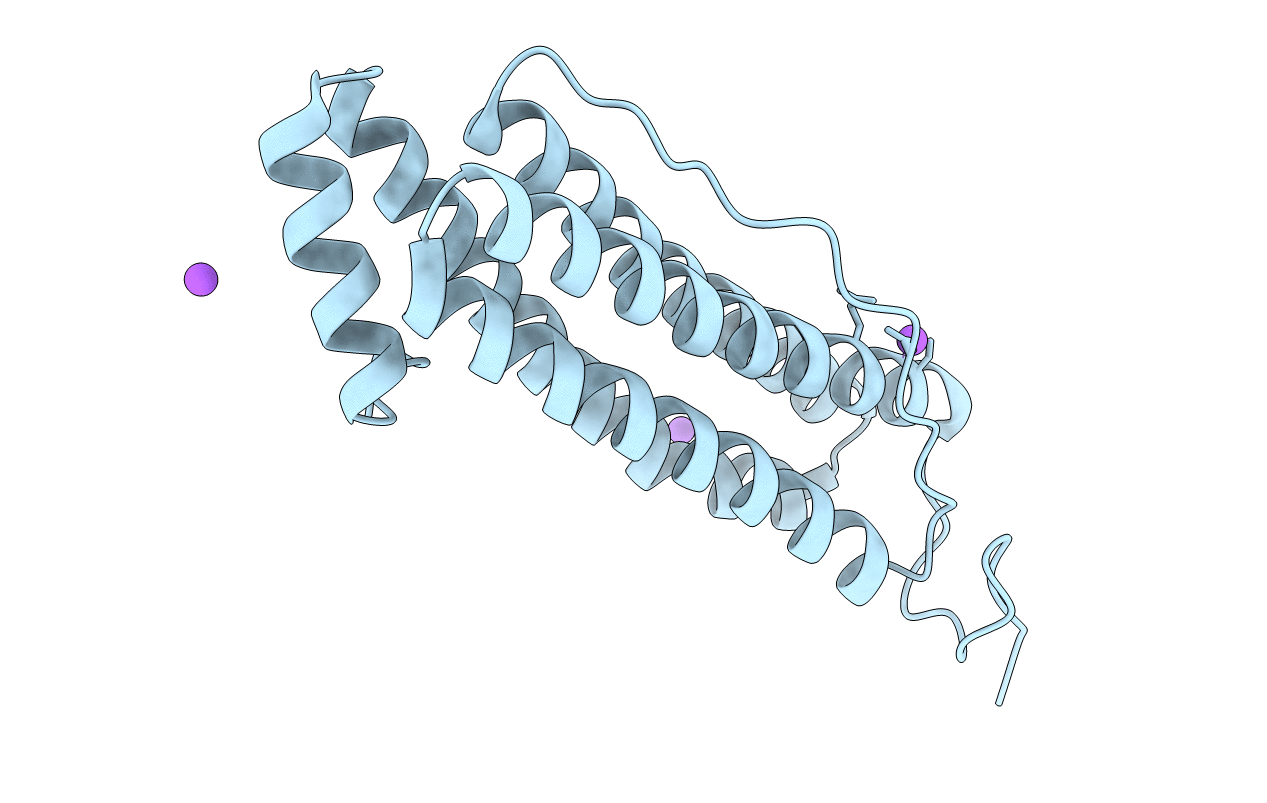7PF7 image