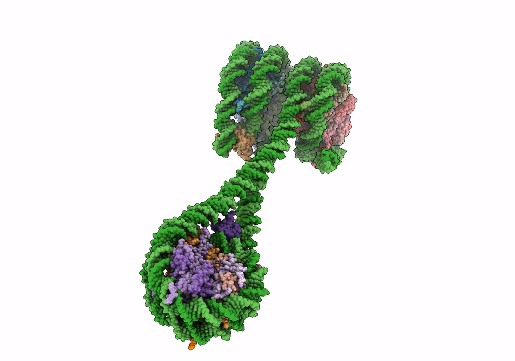 7PFA image