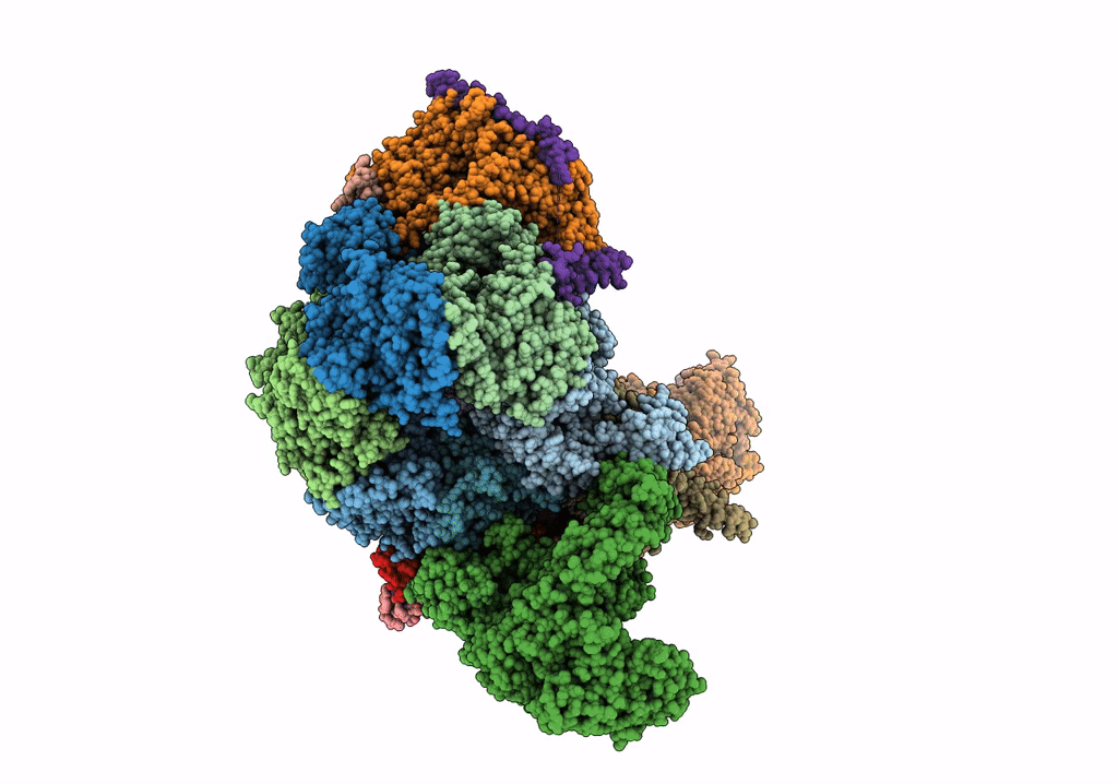 7PFO image