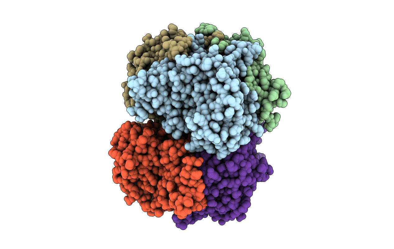 7PFR image