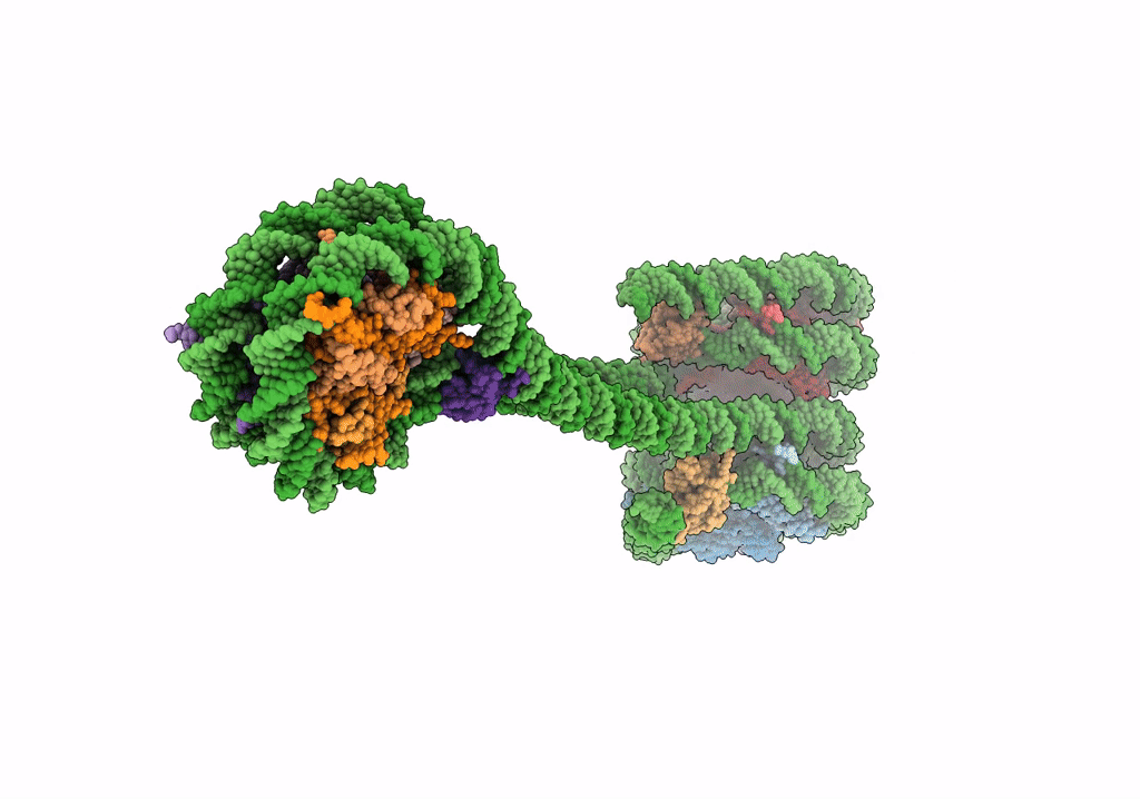 7PFT image