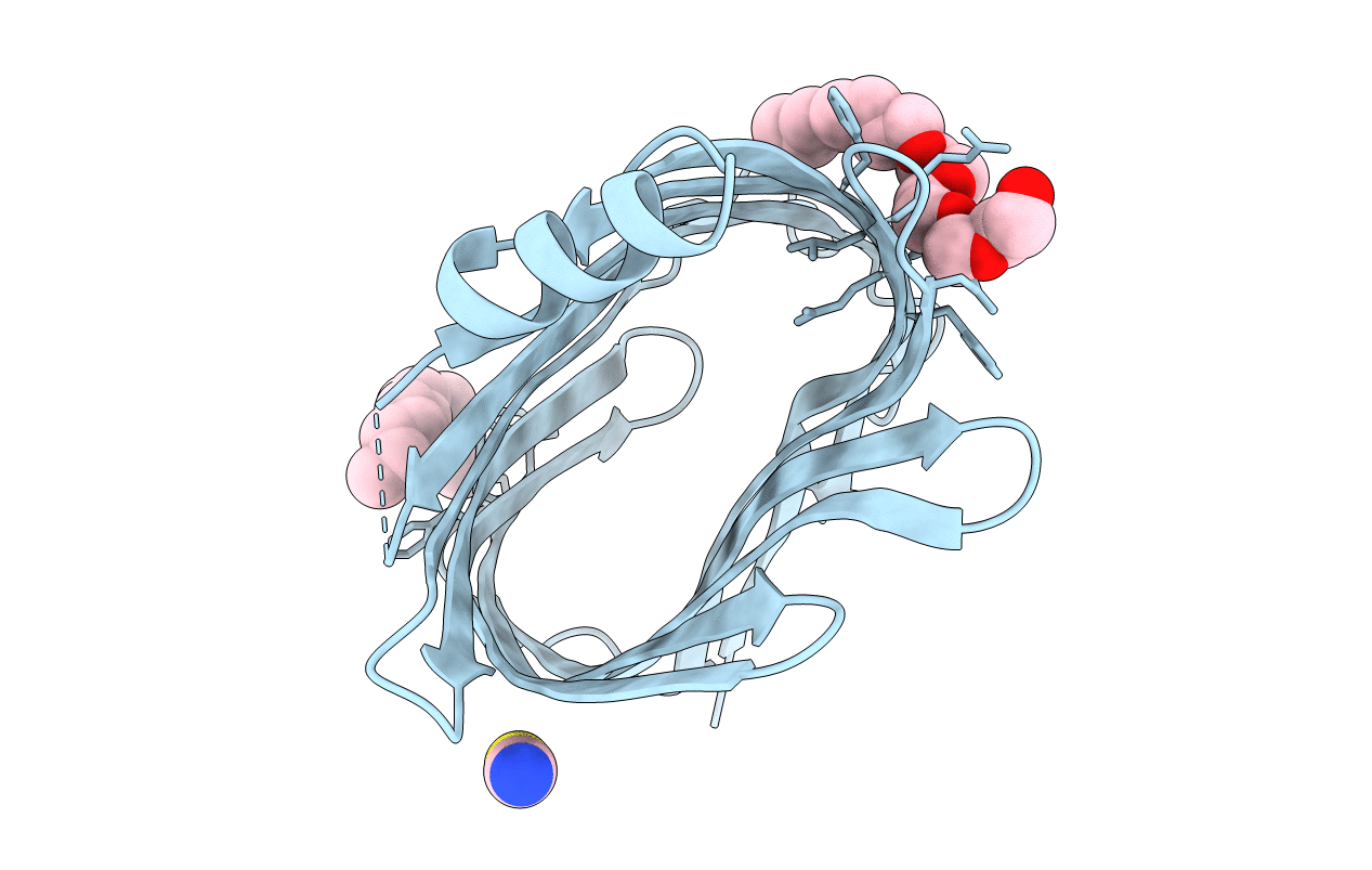7PGE image