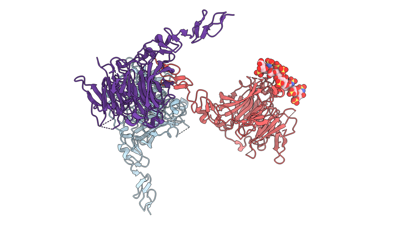 7PGM image