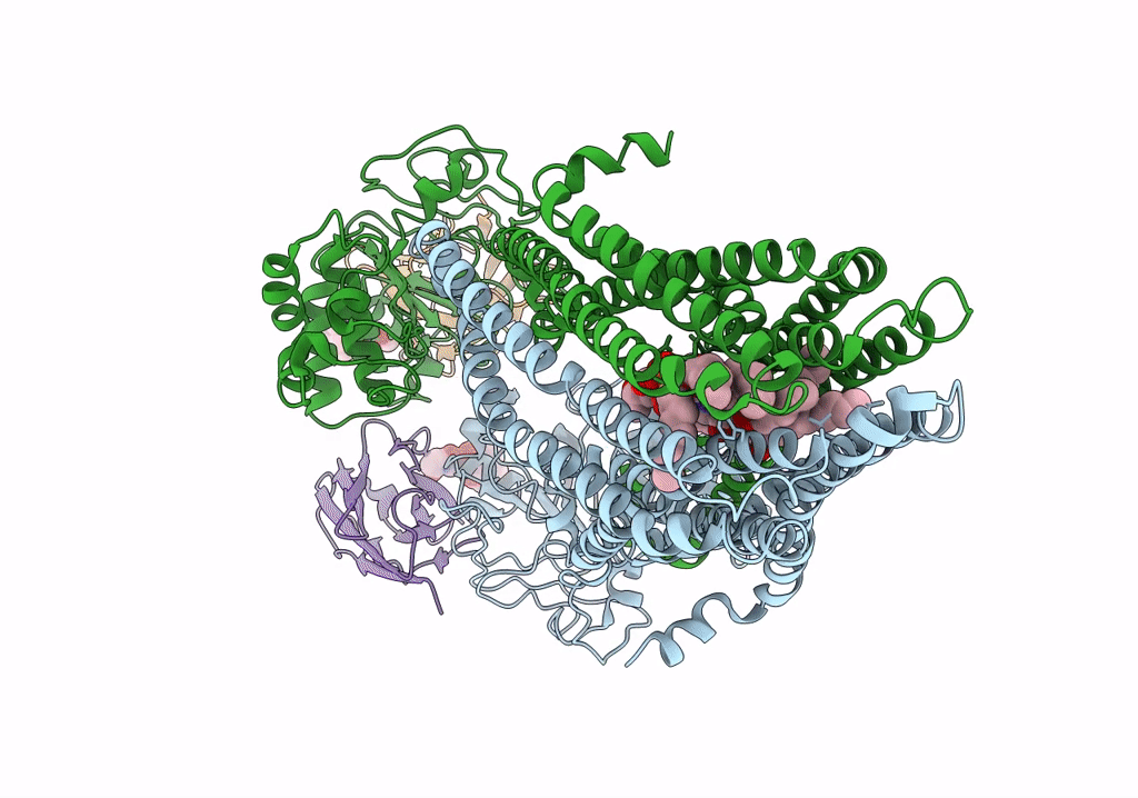 7PH2 image