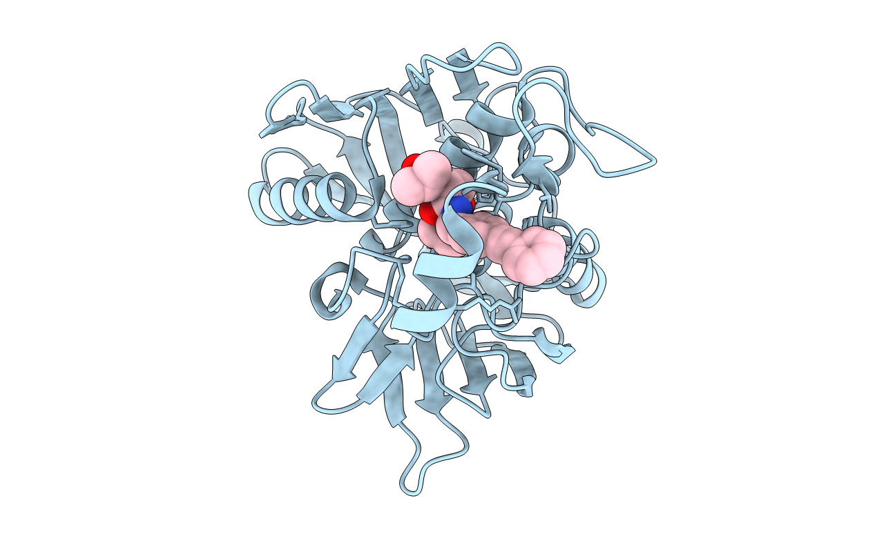 7PHN image