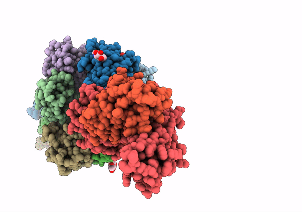 7PHR image