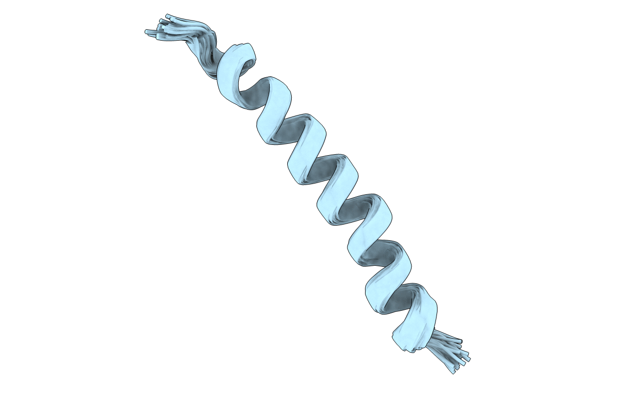 7PHT image