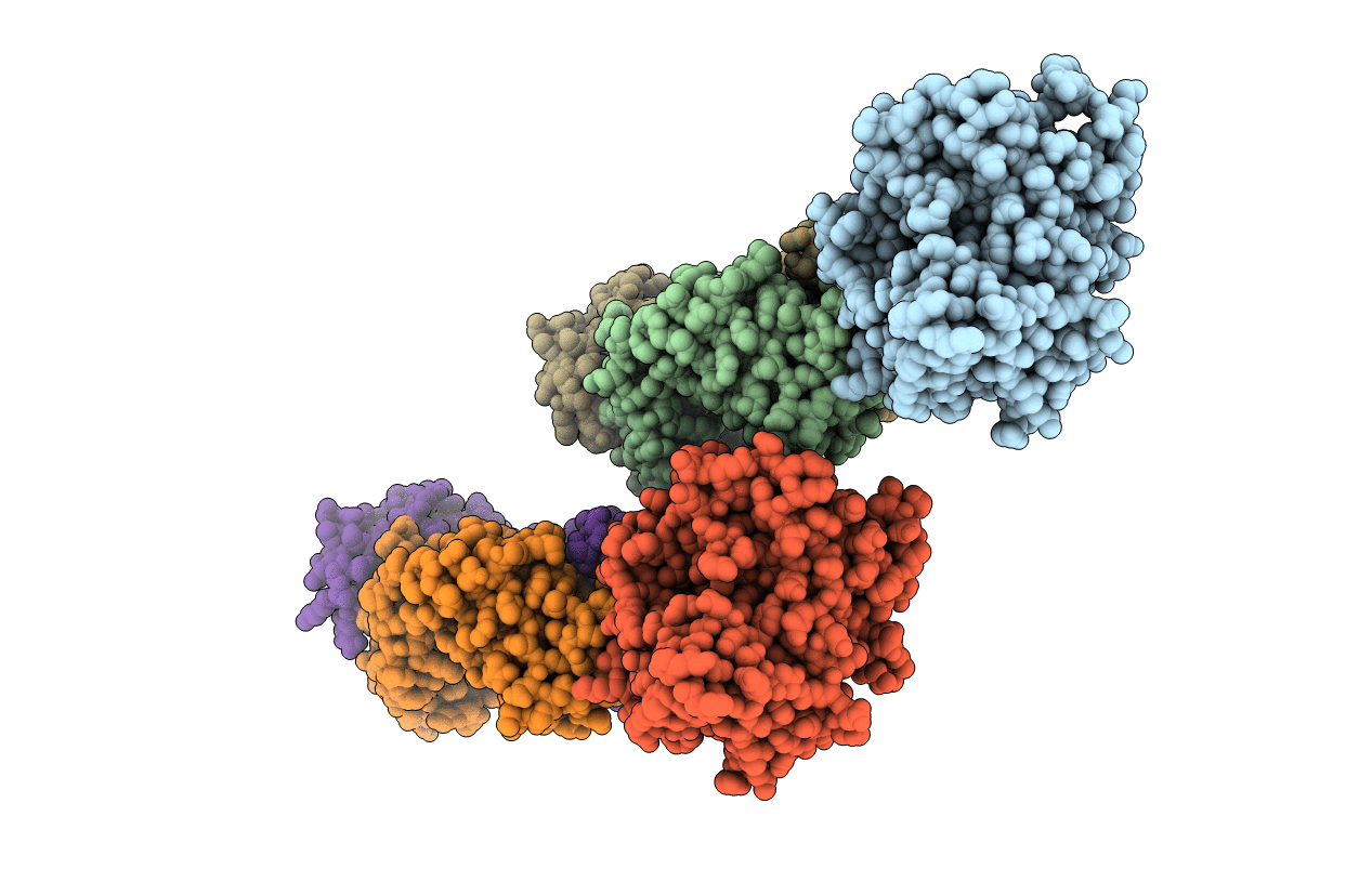 7PHV image