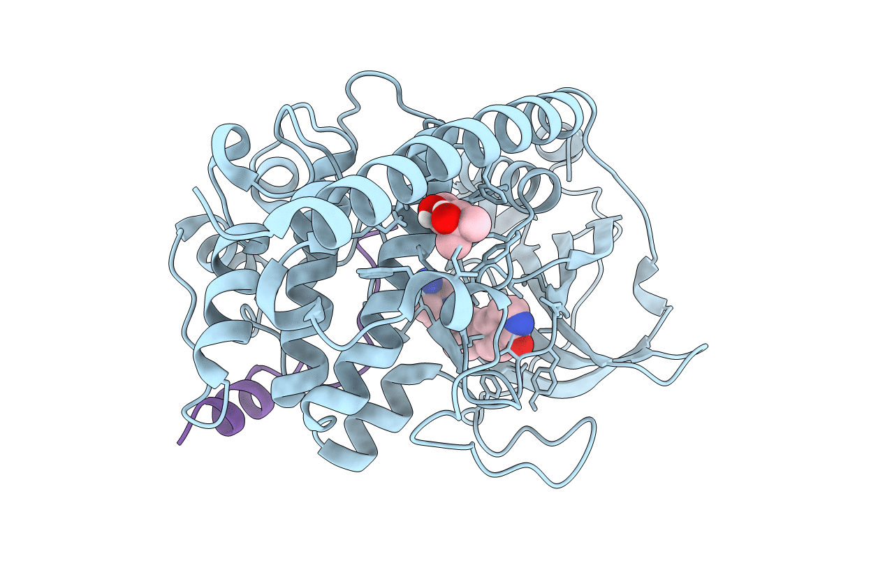 7PIH image