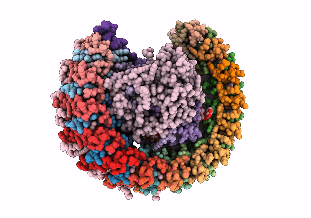 7PIL image