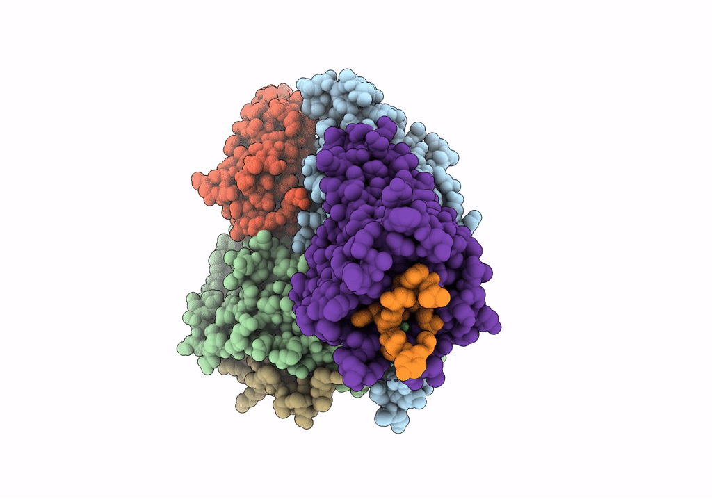 7PIV image