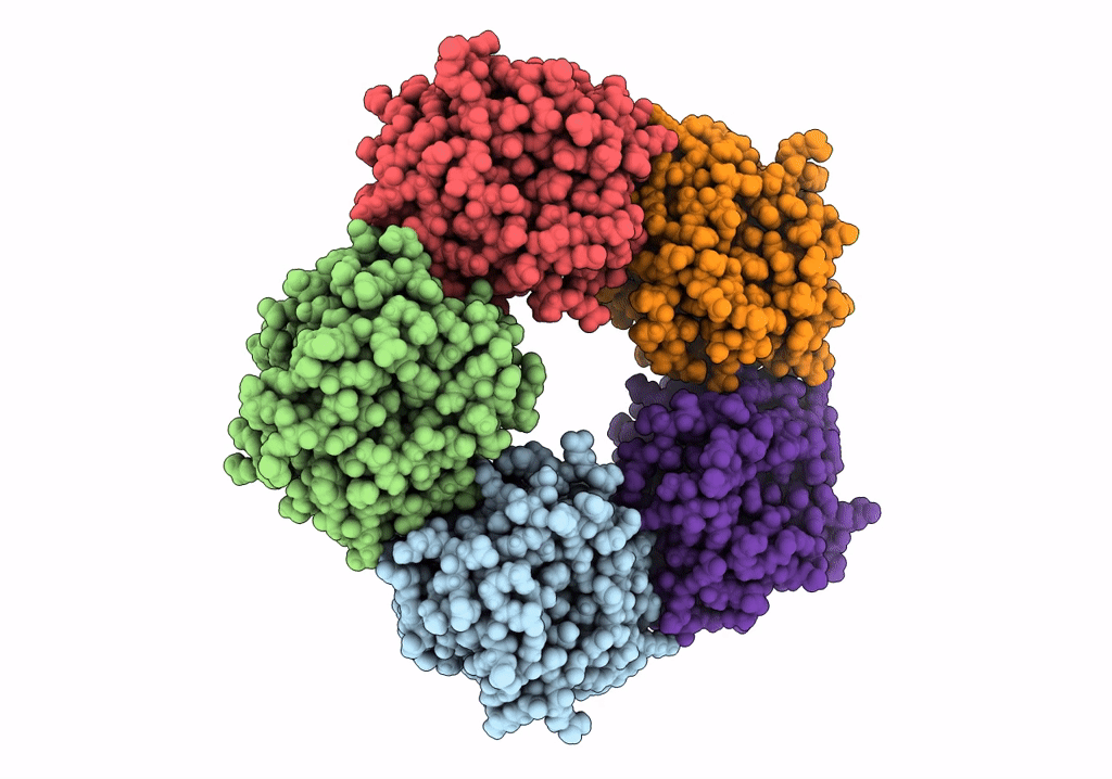 7PKB image