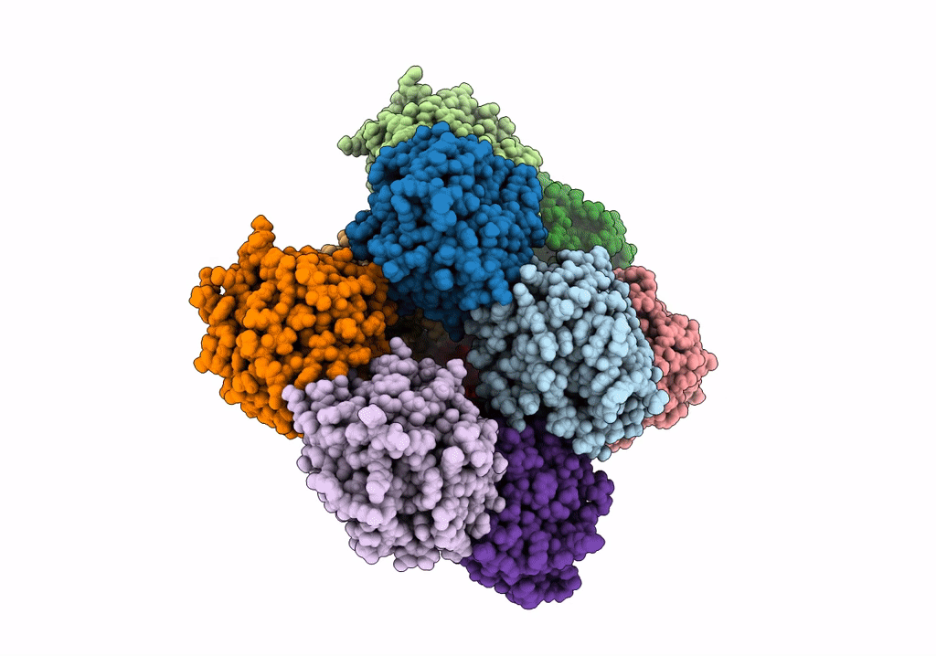 7PKF image
