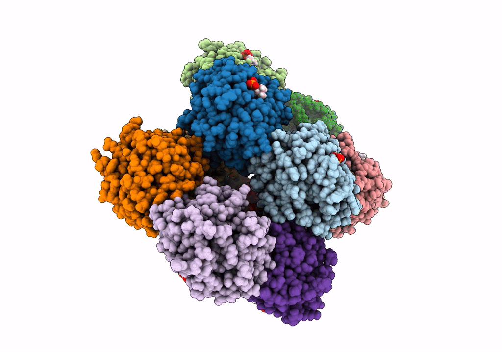 7PKH image