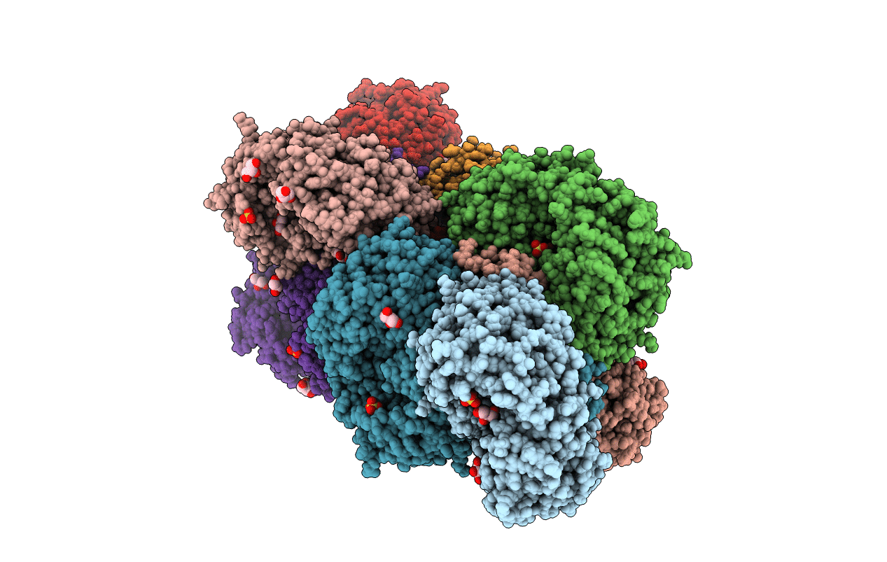 7PKJ image