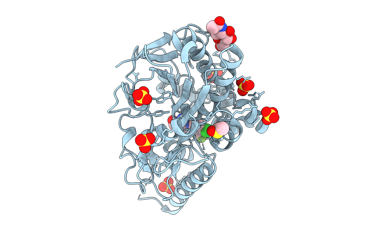 7PKV image