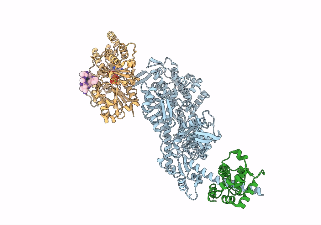 7PLV image
