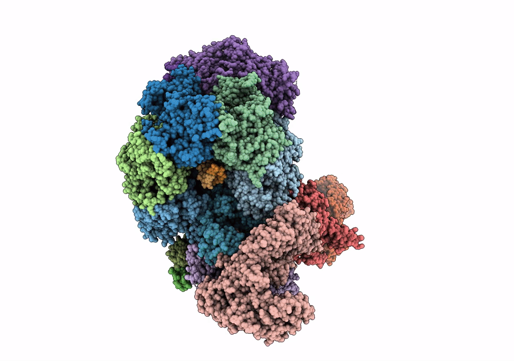 7PMN image