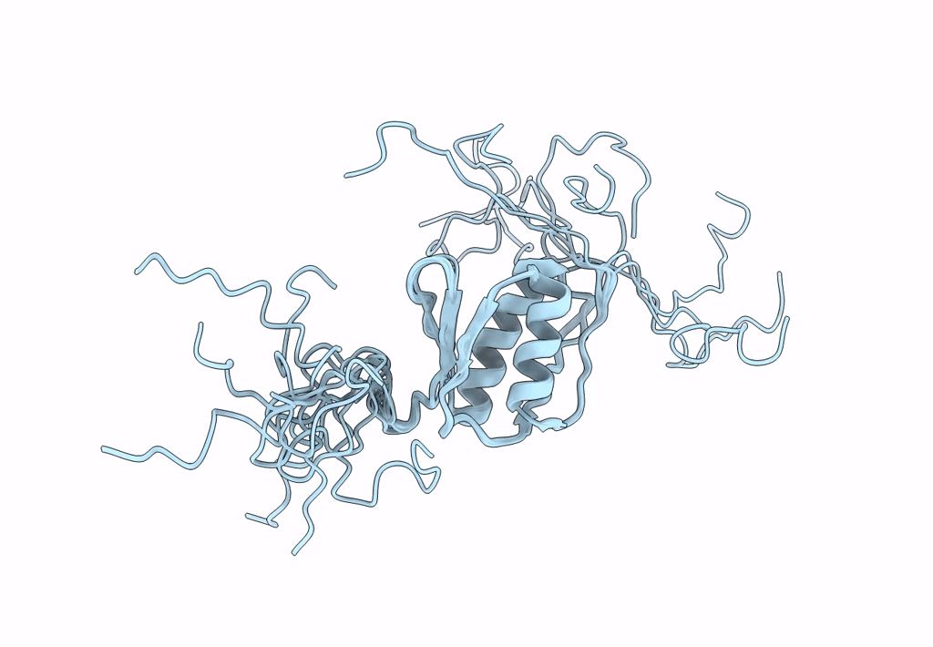 7PMP image