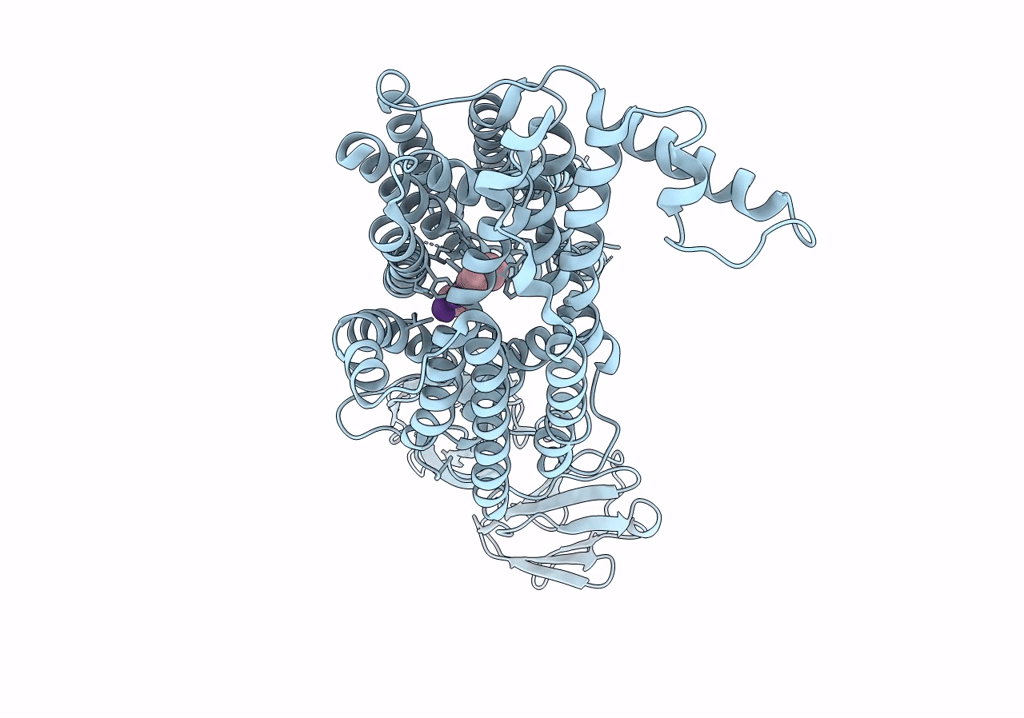 7PMX image