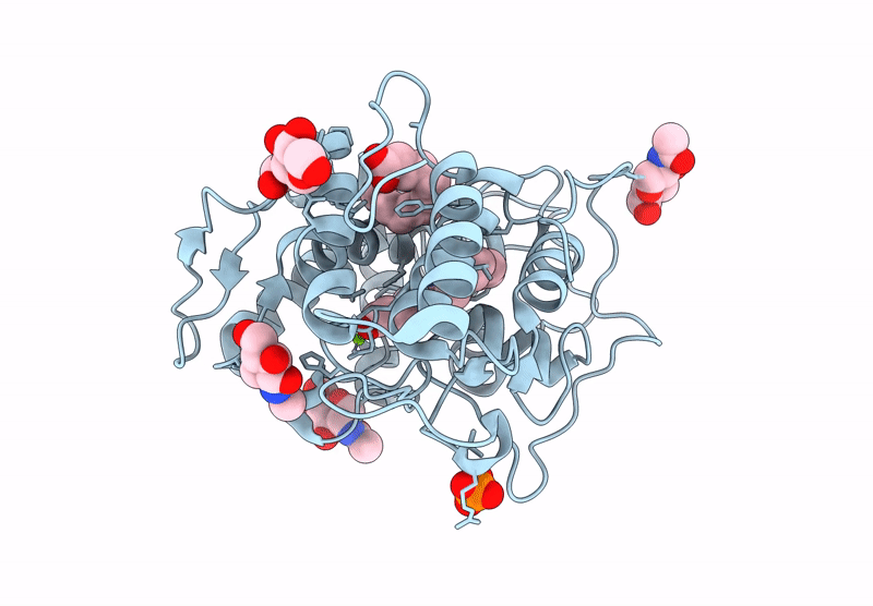 7PNA image