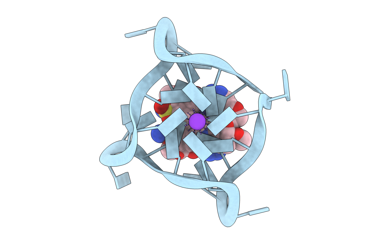 7PNL image