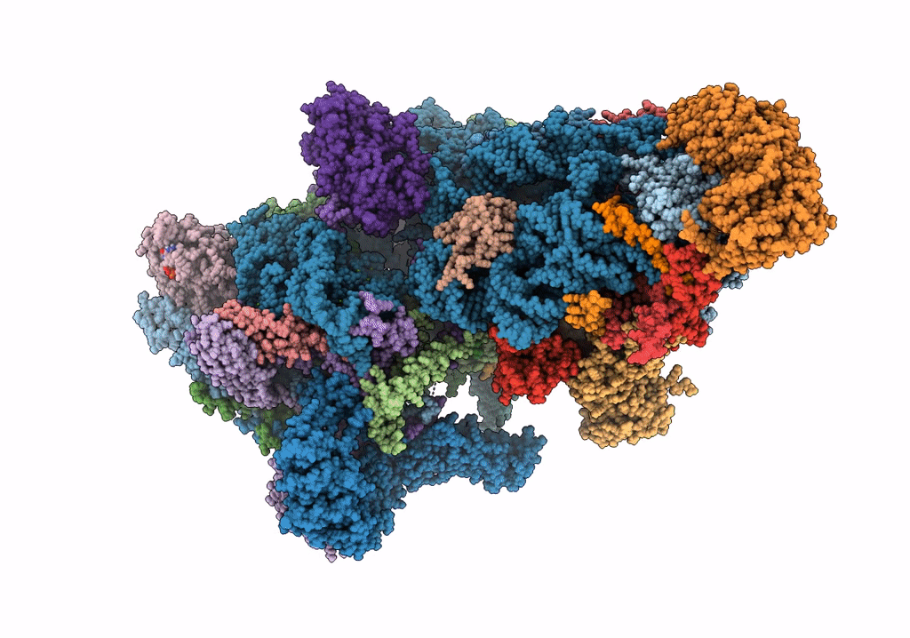 7PNX image