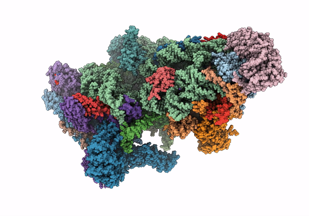 7PO1 image