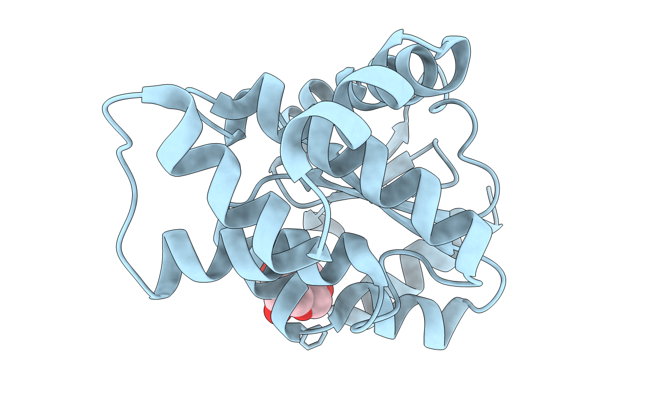 7PQ8 image