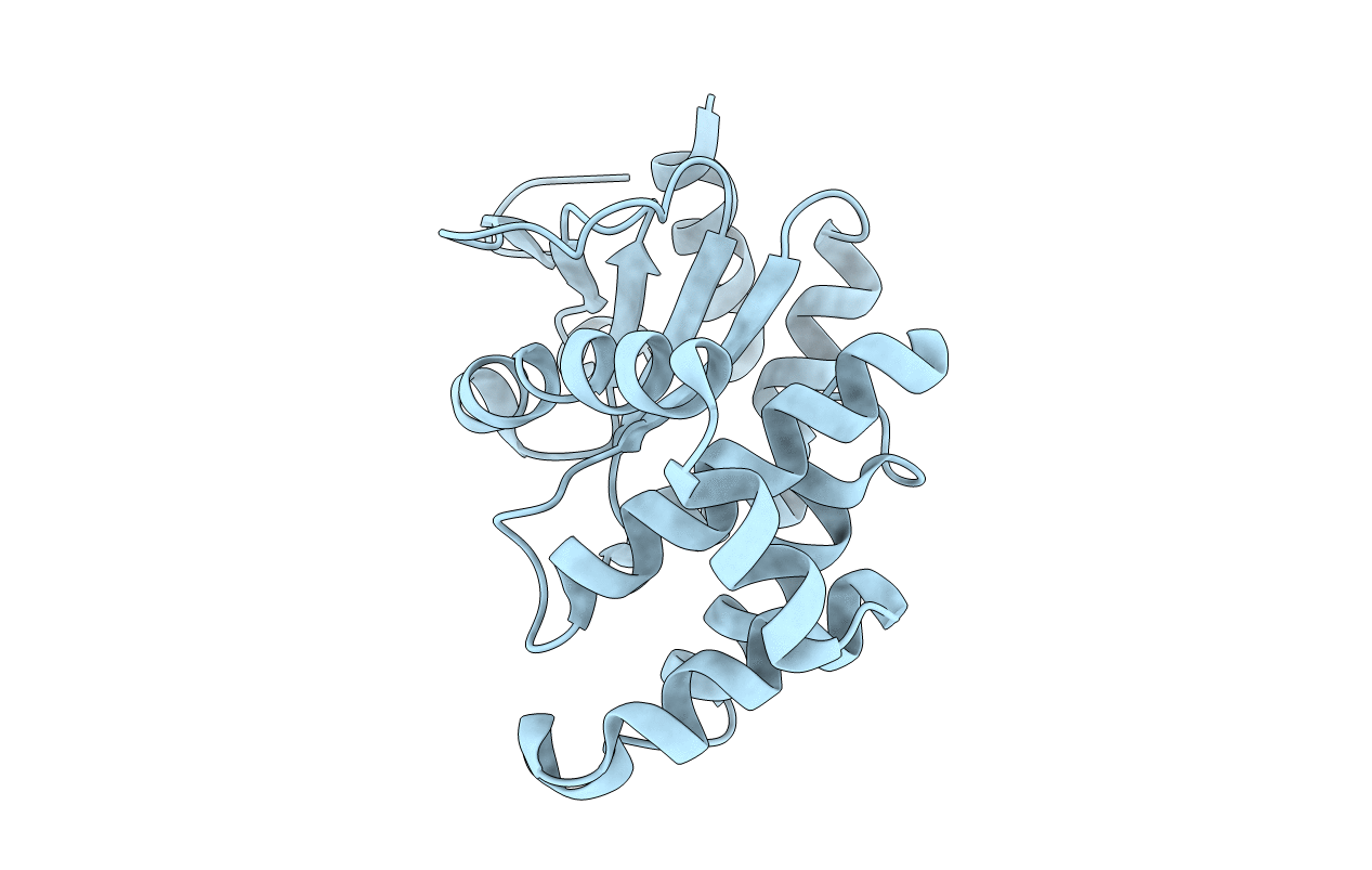 7PQF image