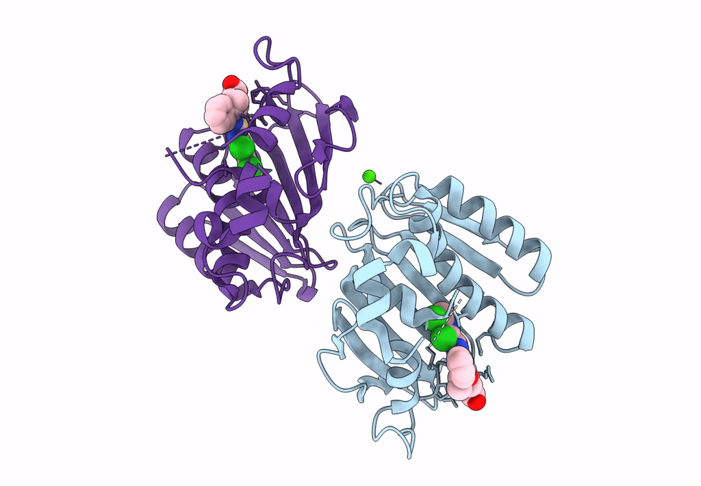 7PQM image