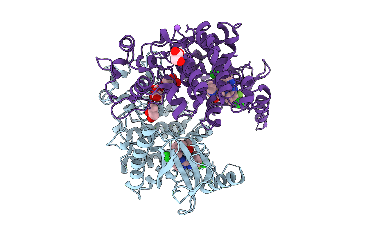 7PQS image