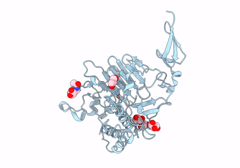7PRL image