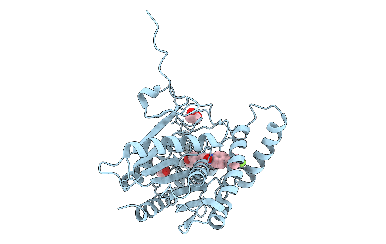 7PRM image