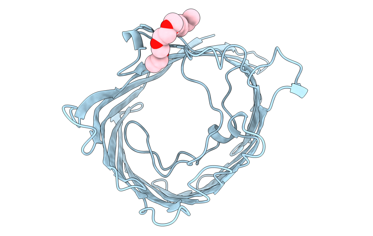 7PRN image