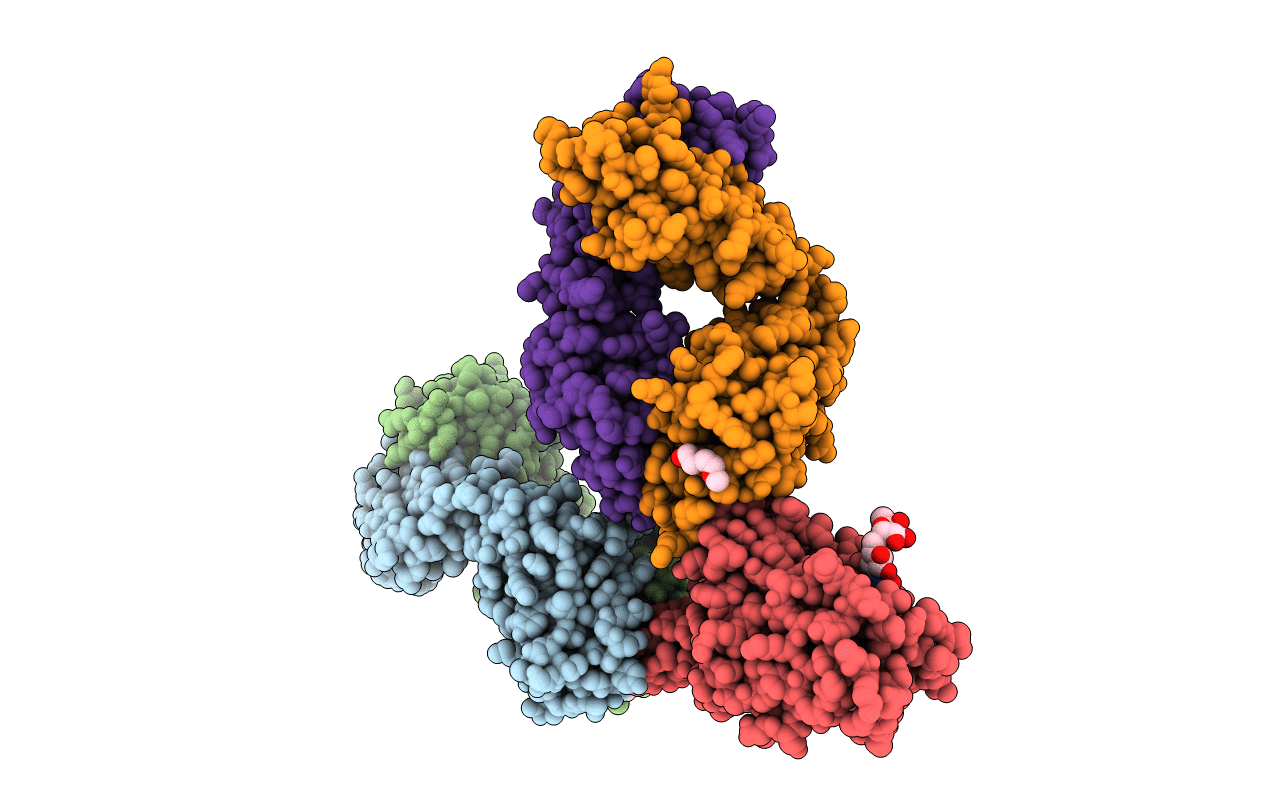 7PS6 image