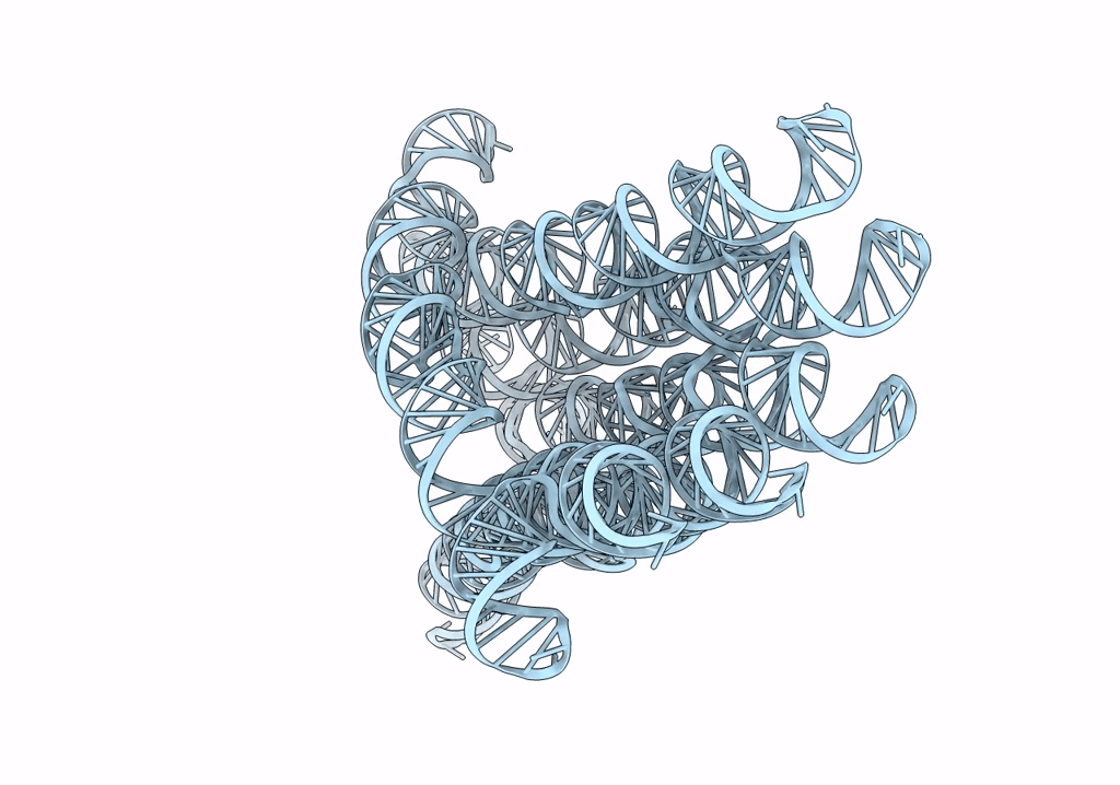 7PTK image