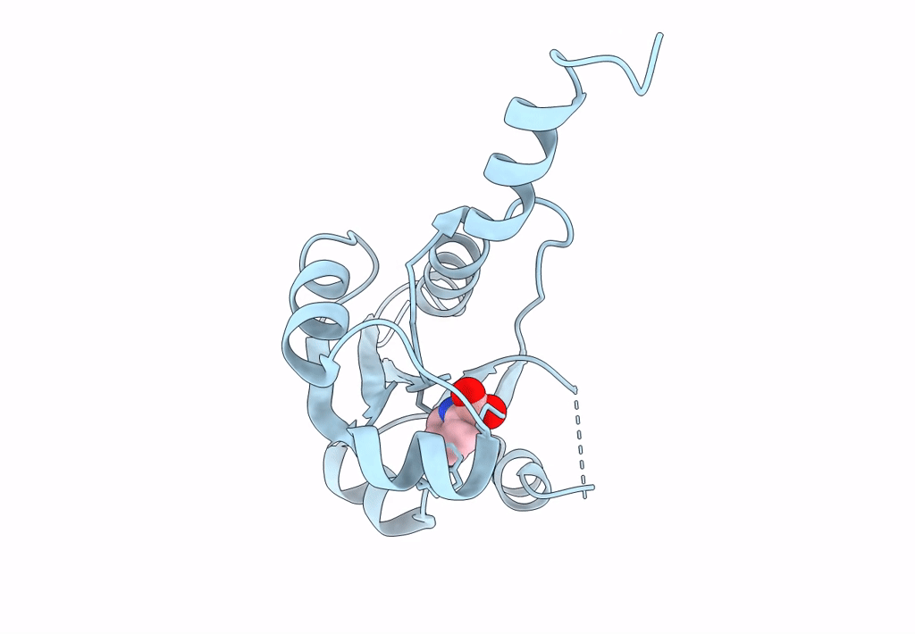 7PUI image