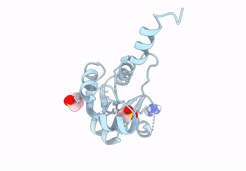 7PVF image