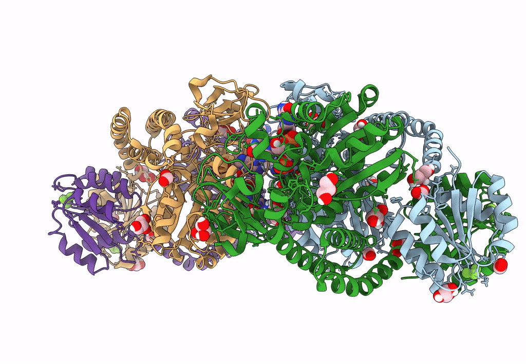 7PVK image