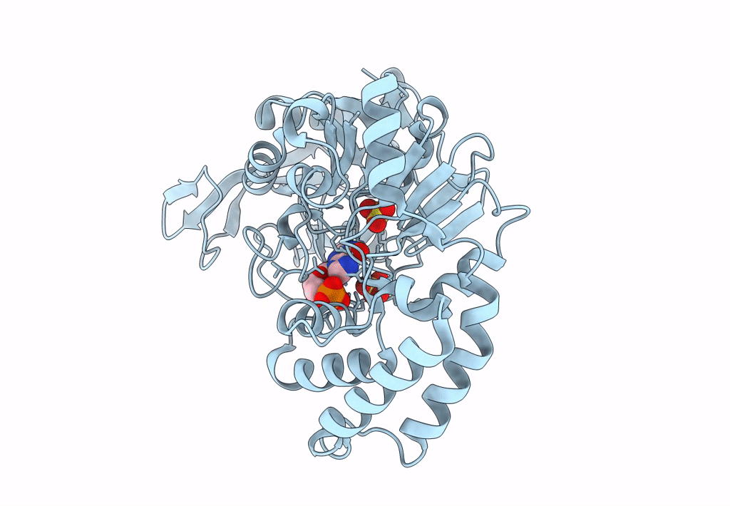 7PVO image