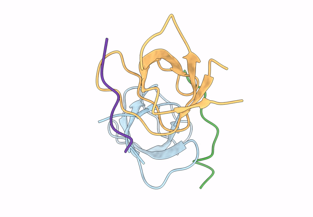 7PVX image